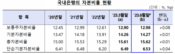 (자료제공=금감원)