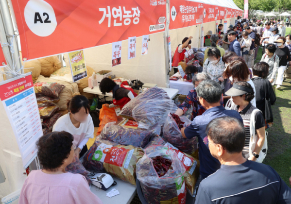 ▲18일 서울 중구 서울광장에서 열린 ‘2023 영양고추 H.O.T 페스티벌’에서 시민들이 고추를 살펴보고 있다. ‘영양고추는 언제나 옳다!’를 슬로건으로 사흘간 진행되는 올해 축제에선 엄격하게 선정한 50여 농가와 영양고추유통공사, 영양농협, 남영양농협 등 우수 고춧가루 가공업체가 영양고추와 다양한 농특산물을 도시 소비자에게 선보인다. 신태현 기자 holjjak@