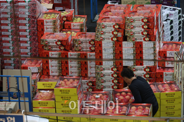 ▲추석 연휴를 앞둔 20일 경기도 부천 삼산농산물 도매시장에서 한 상인이 과일을 정리하고 있다. 고이란 기자 photoeran@