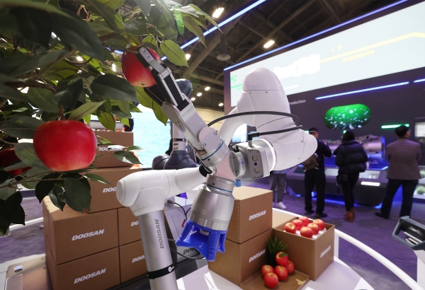 ▲세계 최대 전자·IT 전시회인 ‘CES 2022’ 이 개막한 2022년 1월 5일(현지시간) 미국 네바다주 라스베이거스 컨벤션센터 내 마련된 두산 그룹 전시관에 스마트팜의 사과를 수확, 포장하는 두산로보틱스 협동로봇이 전시돼 있다. (연합뉴스)

