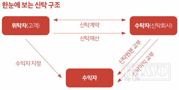 (그래픽=브라보 마이 라이프)