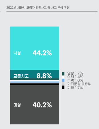 ▲서울연구원이 발표한 2022년 서울시 고령자 안전사고 중 사고 유형. (자료제공=서울연구원)