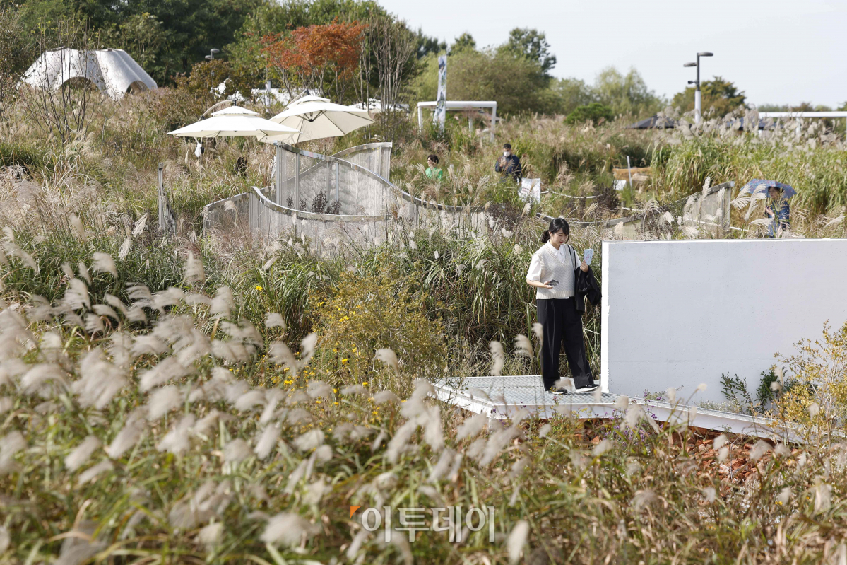 ▲6일 서울 마포구 하늘공원에서 열린 2023 서울정원박람회를 찾은 시민들이 설치된 작품을 살펴보고 있다. '바람, 풀, 그리고 정원'을 주제로 진행되는 이번 박람회는 내달 15일까지 열린다. 조현호 기자 hyunho@