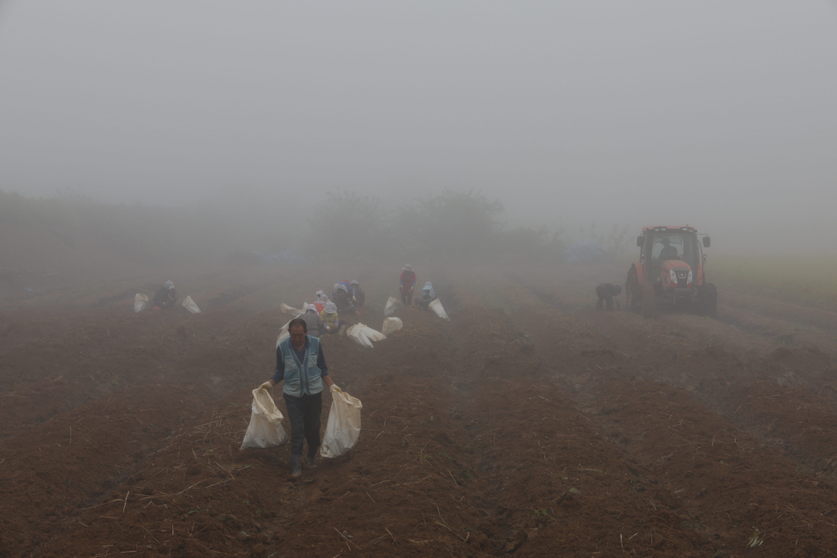▲안개 낀 임진강 인근. (사진제공=연합뉴스)