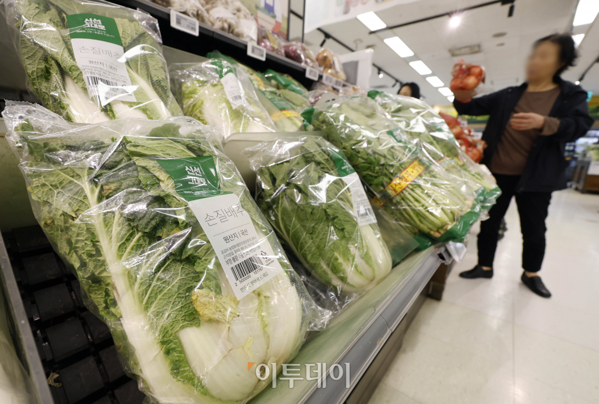 ▲본격적인 김장철을 앞두고 배추 가격이 한 달 전보다 20% 넘게 오른 것으로 나타났다. 18일 한국농수산식품유통공사(aT) 농산물유통정보에 따르면 전날 배추 소매가격은 한 포기에 평균 6587원으로 한 달 전의 5476원보다 20.3% 올랐다. 이날 서울 시내의 한 대형마트에 배추가 진열되어 있다. 조현호 기자 hyunho@