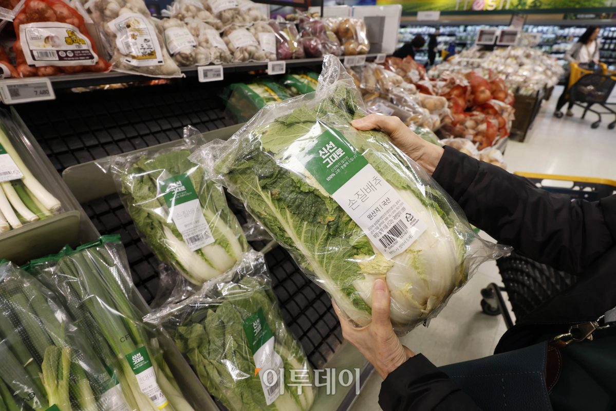 ▲본격적인 김장철을 앞두고 배추 가격이 한 달 전보다 20% 넘게 오른 것으로 나타났다. 18일 한국농수산식품유통공사(aT) 농산물유통정보에 따르면 전날 배추 소매가격은 한 포기에 평균 6587원으로 한 달 전의 5476원보다 20.3% 올랐다. 이날 서울 시내의 한 대형마트에서 시민들이 배추를 구매하고 있다. 조현호 기자 hyunho@
