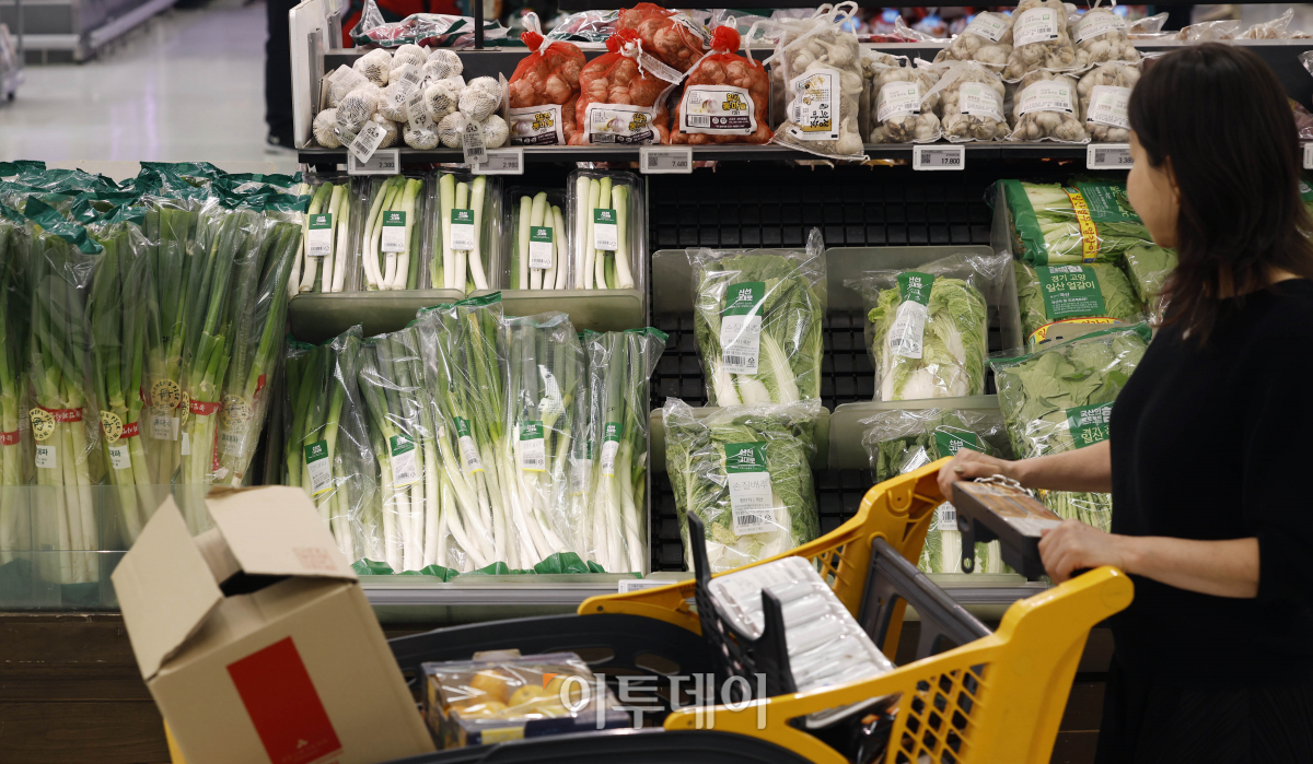 ▲본격적인 김장철을 앞두고 배추 가격이 한 달 전보다 20% 넘게 오른 것으로 나타났다. 18일 한국농수산식품유통공사(aT) 농산물유통정보에 따르면 전날 배추 소매가격은 한 포기에 평균 6587원으로 한 달 전의 5476원보다 20.3% 올랐다. 이날 서울 시내의 한 대형마트에 김장 재료인 배추, 대파 등 채소 제품들이 진열되어 있다. 조현호 기자 hyunho@