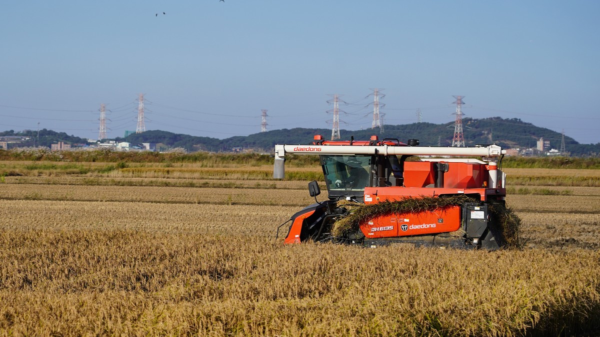 (사진제공=대동)