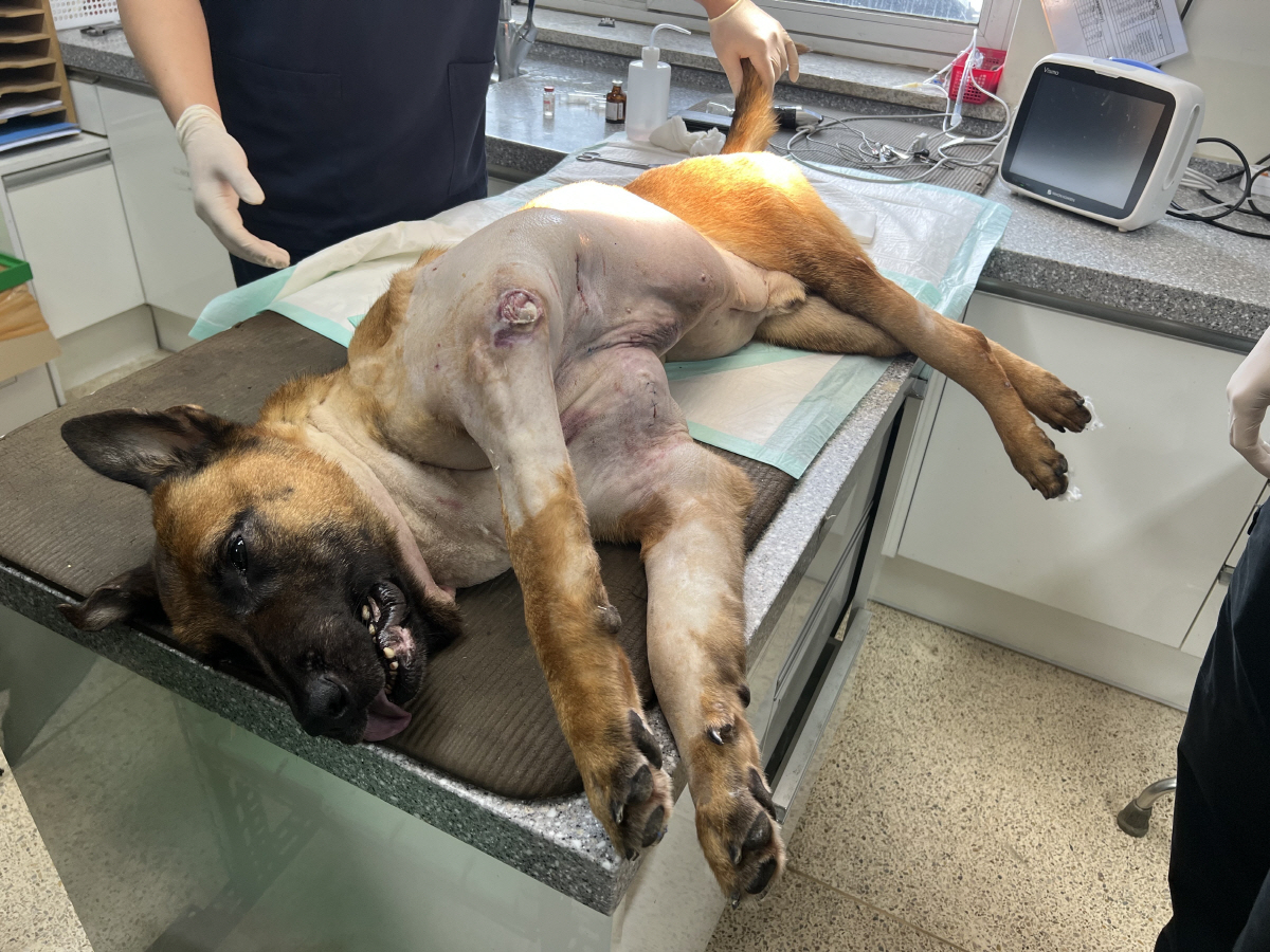 ▲대전경찰청 제공 (연합뉴스)
