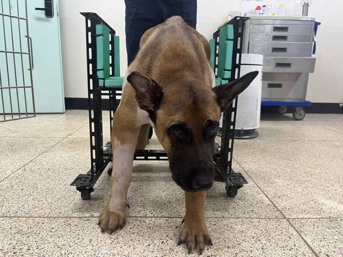 ▲대전경찰청 제공 (연합뉴스)
