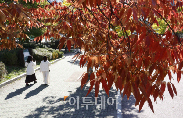 ▲전국이 맑은 날씨를 보인 22일 서울 영등포구 여의도공원이 단풍으로 물들어 가고 있다. 조현호 기자 hyunho@
