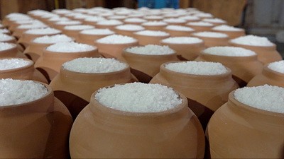 ▲'극한직업'(사진제공=EBS1)