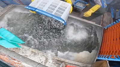 ▲'극한직업'(사진제공=EBS1)