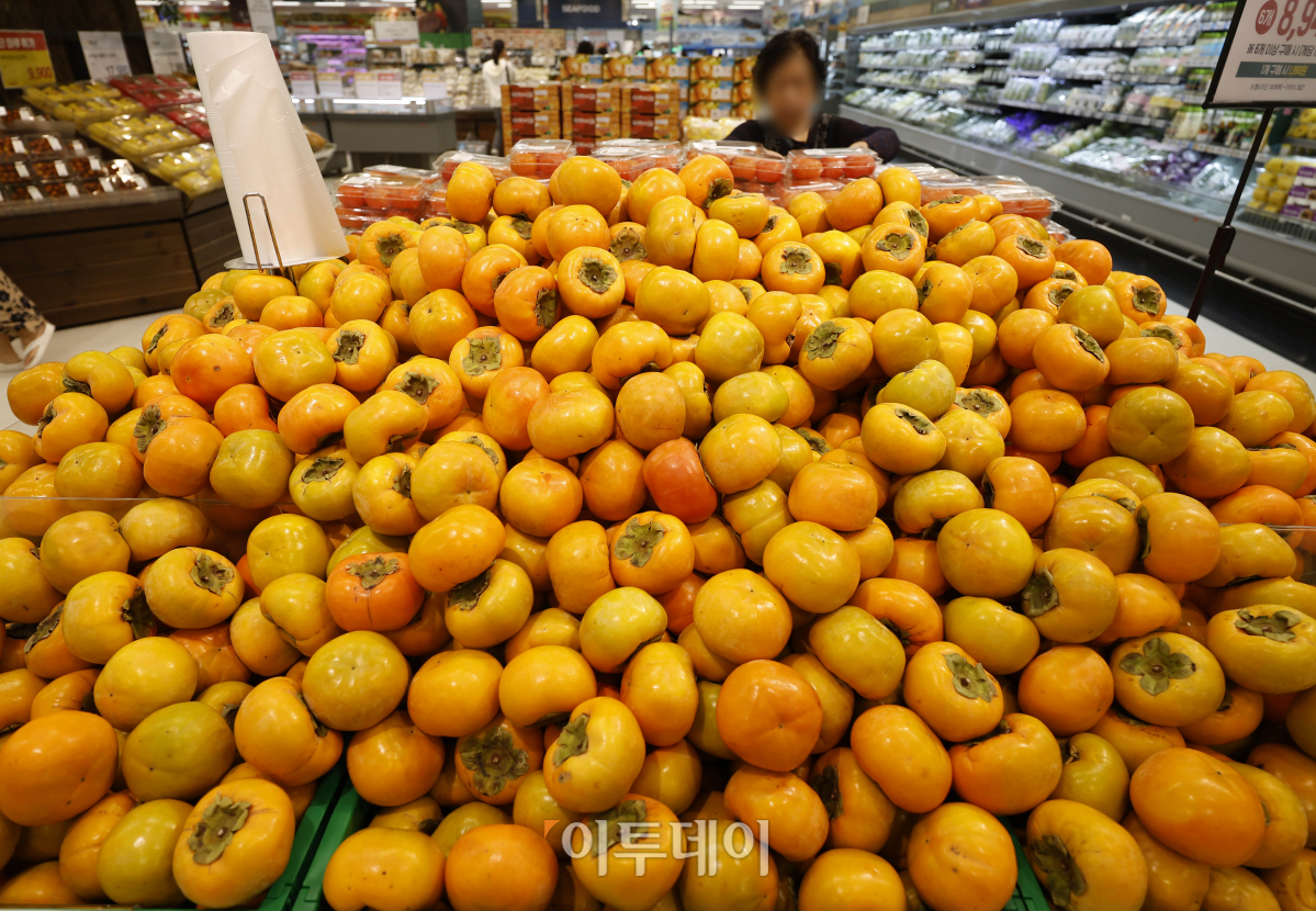 ▲제철 과일 단감 가격이 상승했다. 31일 한국농수산식품유통공사(aT) 농산물유통정보에 따르면 전날 단감 소매가격은 10개에 1만4736원으로 1년 전 1만1147원보다 32.2% 비싸졌다. 2018년부터 2022년까지 가격 중 최대·최소치를 제외한 평균값인 평년 가격(10885원)과 비교하면 34.5% 비싸다. 단감 가격은 여름철 폭염과 호우 등 날씨 영향으로 생육이 부진해 공급이 줄며 상승했다. 이날 서울 시내의 한 대형마트에 단감이 진열되어 있다. 조현호 기자 hyunho@
