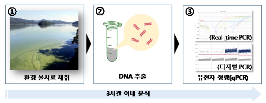 ▲냄새물질 생산 유전자 분석법 개요 (자료제공=국립환경과학원)