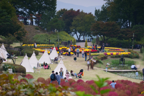 ▲용인시가 14일부터 15일까지 용인농촌테마파크에서 가을 꽃 축제를 개최한다. 사진은 지난 봄 열렸던 행사 모습. (용인시)
