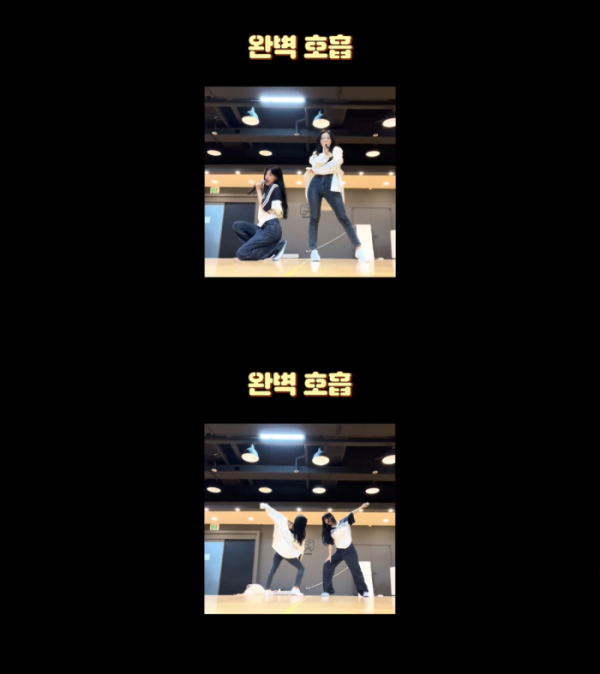 ▲아르테미스 하슬X최리(사진=모드하우스 제공)