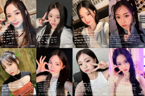 ▲에볼루션(사진=모드하우스 제공)