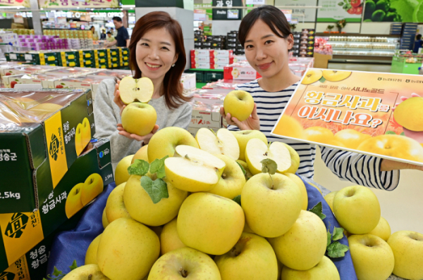 ▲11일 서울 서초구 하나로마트 양재점에서 모델들이 시나노 골드 사과를 선보이고 있다. (사진제공=농협유통)