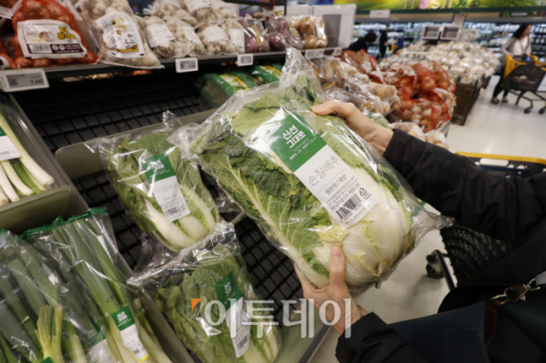 ▲본격적인 김장철을 앞두고 배추 가격이 한 달 전보다 20% 넘게 오른 것으로 나타났다. 18일 한국농수산식품유통공사(aT) 농산물유통정보에 따르면 전날 배추 소매가격은 한 포기에 평균 6587원으로 한 달 전의 5476원보다 20.3% 올랐다. 이날 서울 시내의 한 대형마트에서 시민들이 배추를 구매하고 있다. 조현호 기자 hyunho@