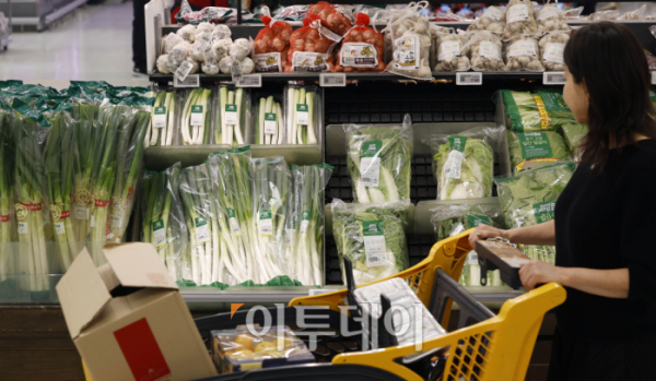 ▲본격적인 김장철을 앞두고 배추 가격이 한 달 전보다 20% 넘게 오른 것으로 나타났다. 18일 한국농수산식품유통공사(aT) 농산물유통정보에 따르면 전날 배추 소매가격은 한 포기에 평균 6587원으로 한 달 전의 5476원보다 20.3% 올랐다. 이날 서울 시내의 한 대형마트에 김장 재료인 배추, 대파 등 채소 제품들이 진열되어 있다. 조현호 기자 hyunho@
