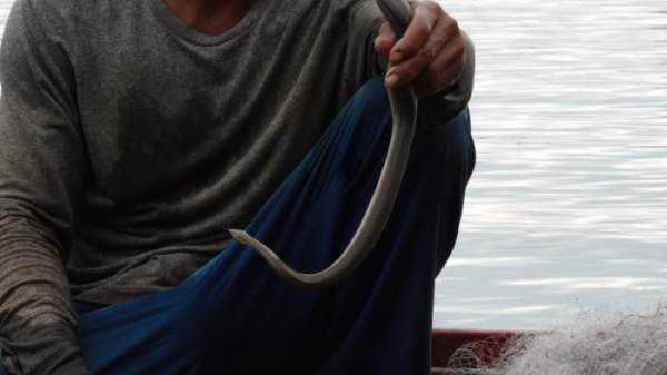 ▲'극한직업'(사진제공=EBS1)