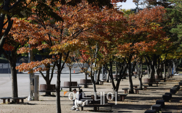 ▲전국이 맑은 날씨를 보인 22일 서울 영등포구 여의도공원이 단풍으로 물들어 가고 있다.  (조현호 기자 hyunho@)