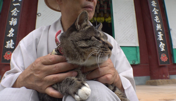 ▲'TV 동물농장'(사진제공=SBS)