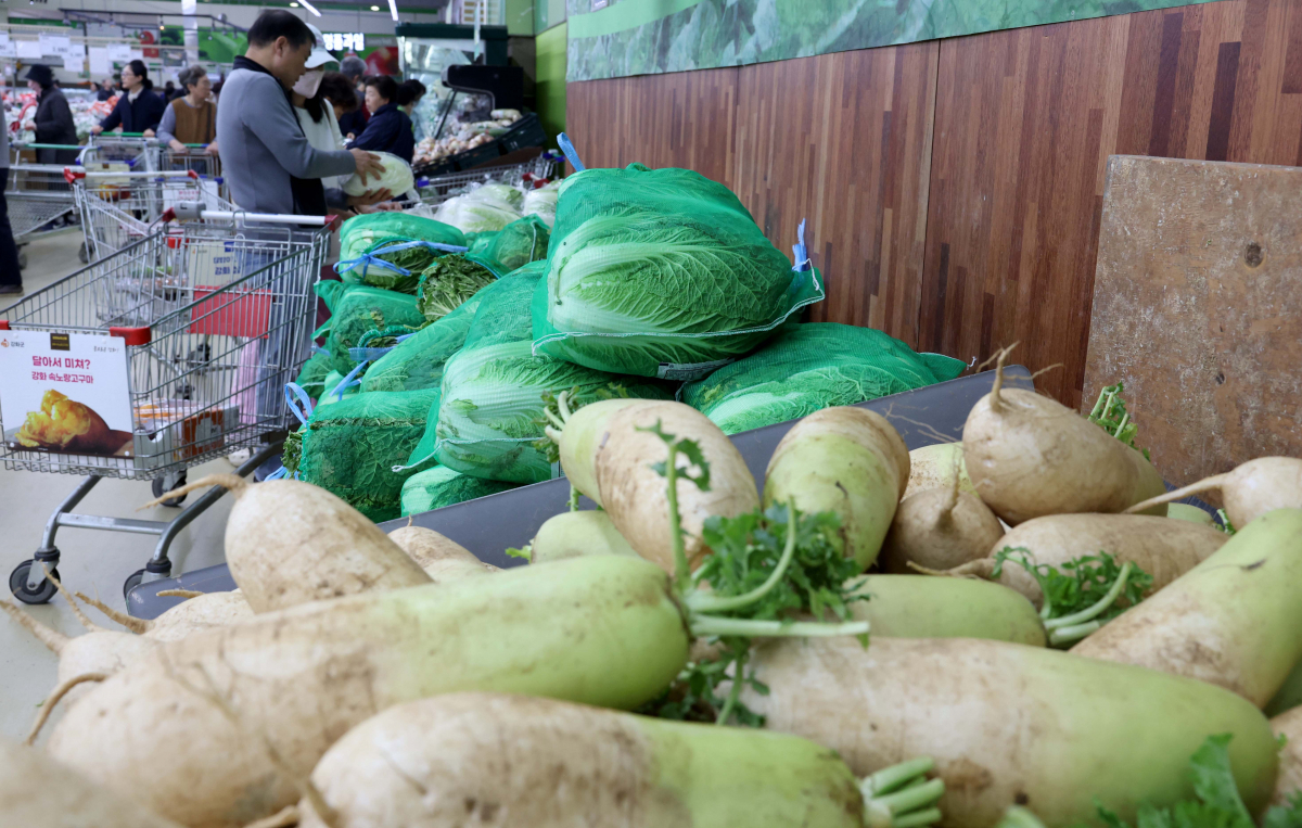 ▲정부가 본격적인 김장철을 맞아 농산물 물가 상승에 따른 국민 부담을 덜기 위해 배추와 소금 등 가격 인상이 우려되는 주요 김장재료 공급을 확대하고, 전년보다 두 배 가까이 늘어난 245억원 규모 할인 지원에 나선다. 2일 서울의 한 대형마트에서 시민들이 김장재료를 살펴보고 있다. 신태현 기자 holjjak@