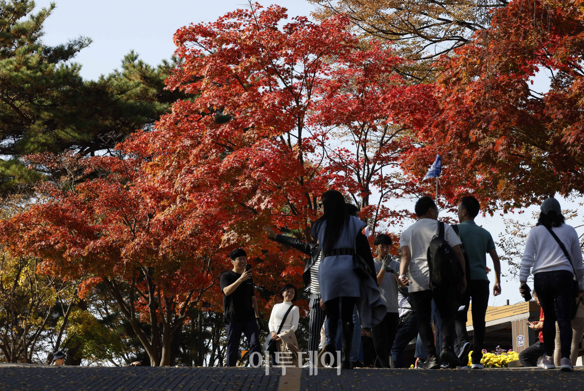 ▲완연한 가을 날씨를 보인 2일 서울 남산을 찾은 시민들이 울긋불긋 단풍을 즐기고 있다. 조현호 기자 hyunho@