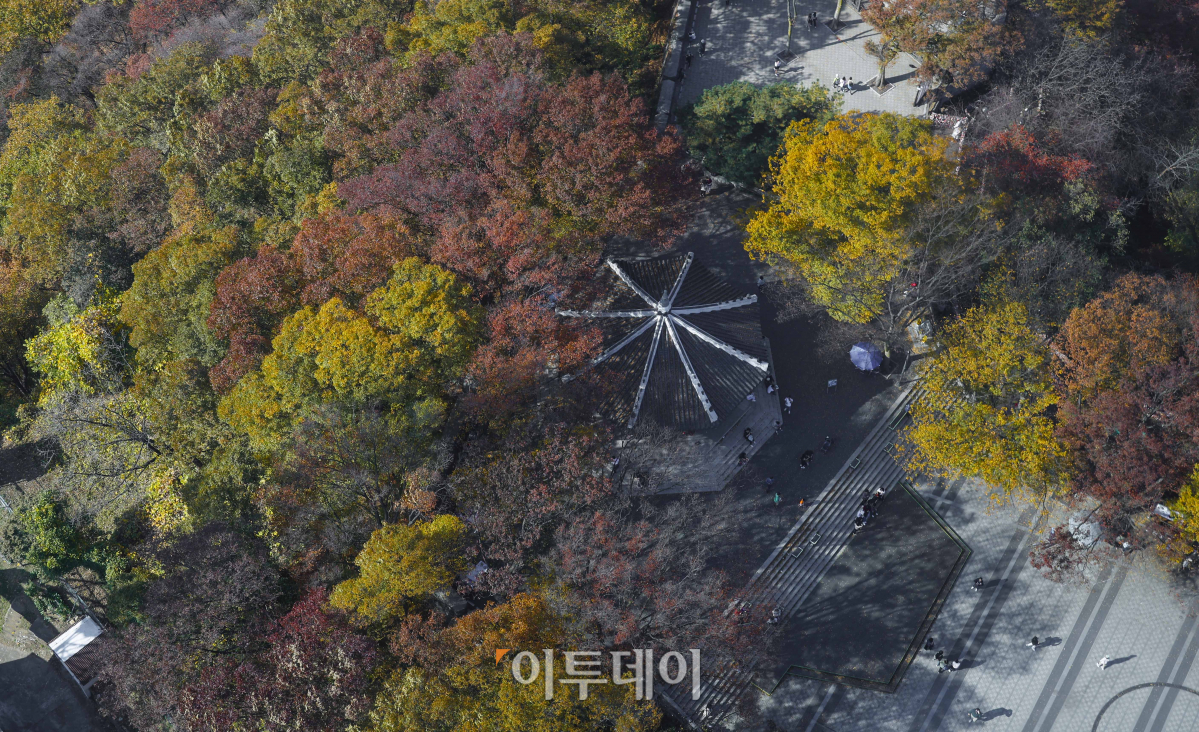 ▲완연한 가을 날씨를 보인 2일 서울 남산에 단풍이 울긋불긋 물들어 있다. 조현호 기자 hyunho@