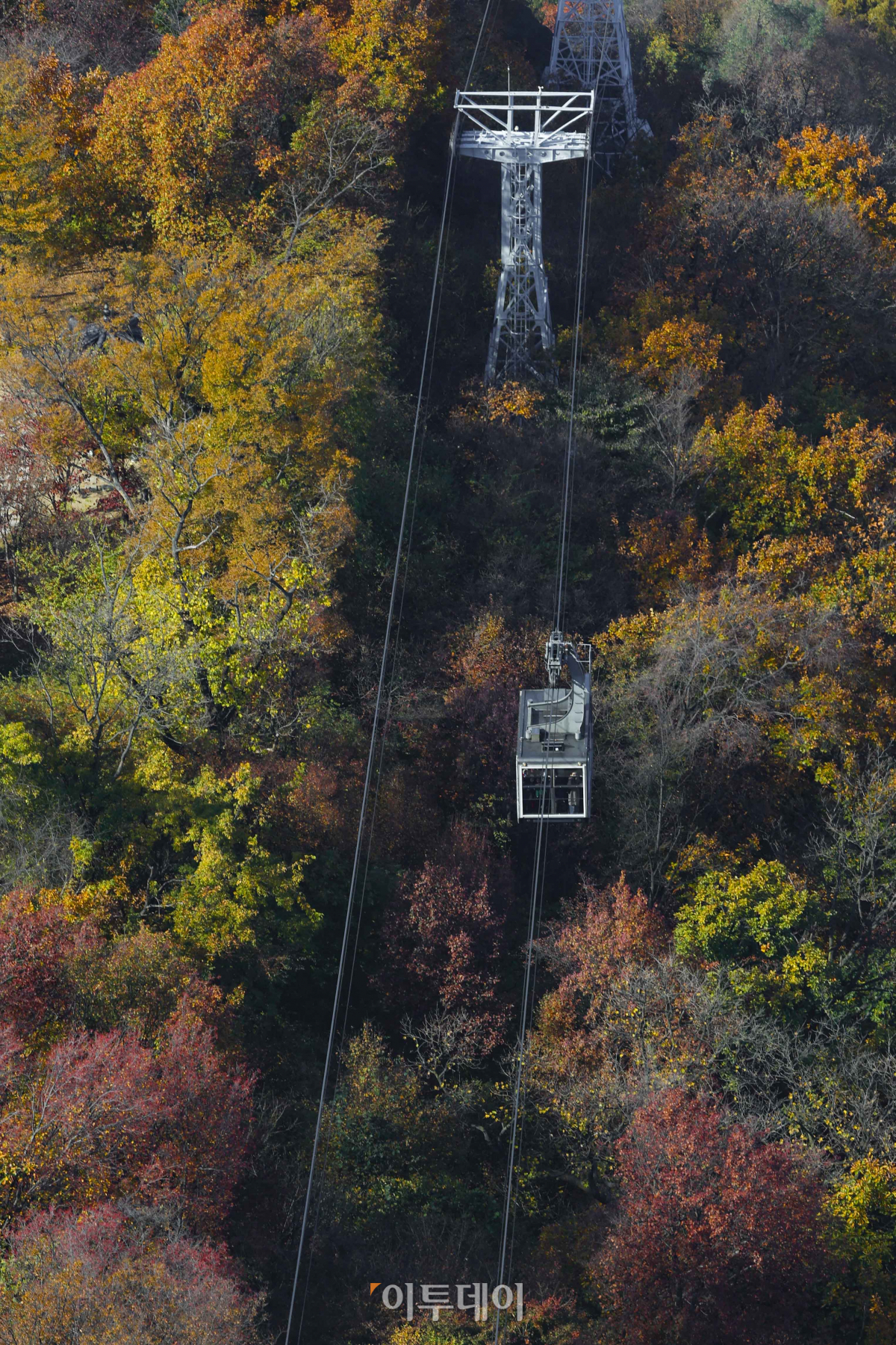 ▲완연한 가을 날씨를 보인 2일 서울 남산에 단풍이 울긋불긋 물들어 있다. 조현호 기자 hyunho@