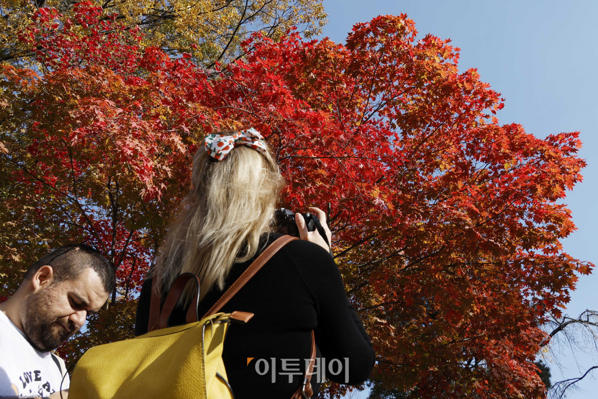 ▲완연한 가을 날씨를 보인 2일 서울 남산을 찾은 시민들이 울긋불긋 단풍을 즐기고 있다. 조현호 기자 hyunho@