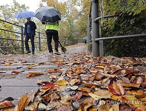 ▲가을비가 내려 시민들이 우산을 쓰고 있다 (연합뉴스)