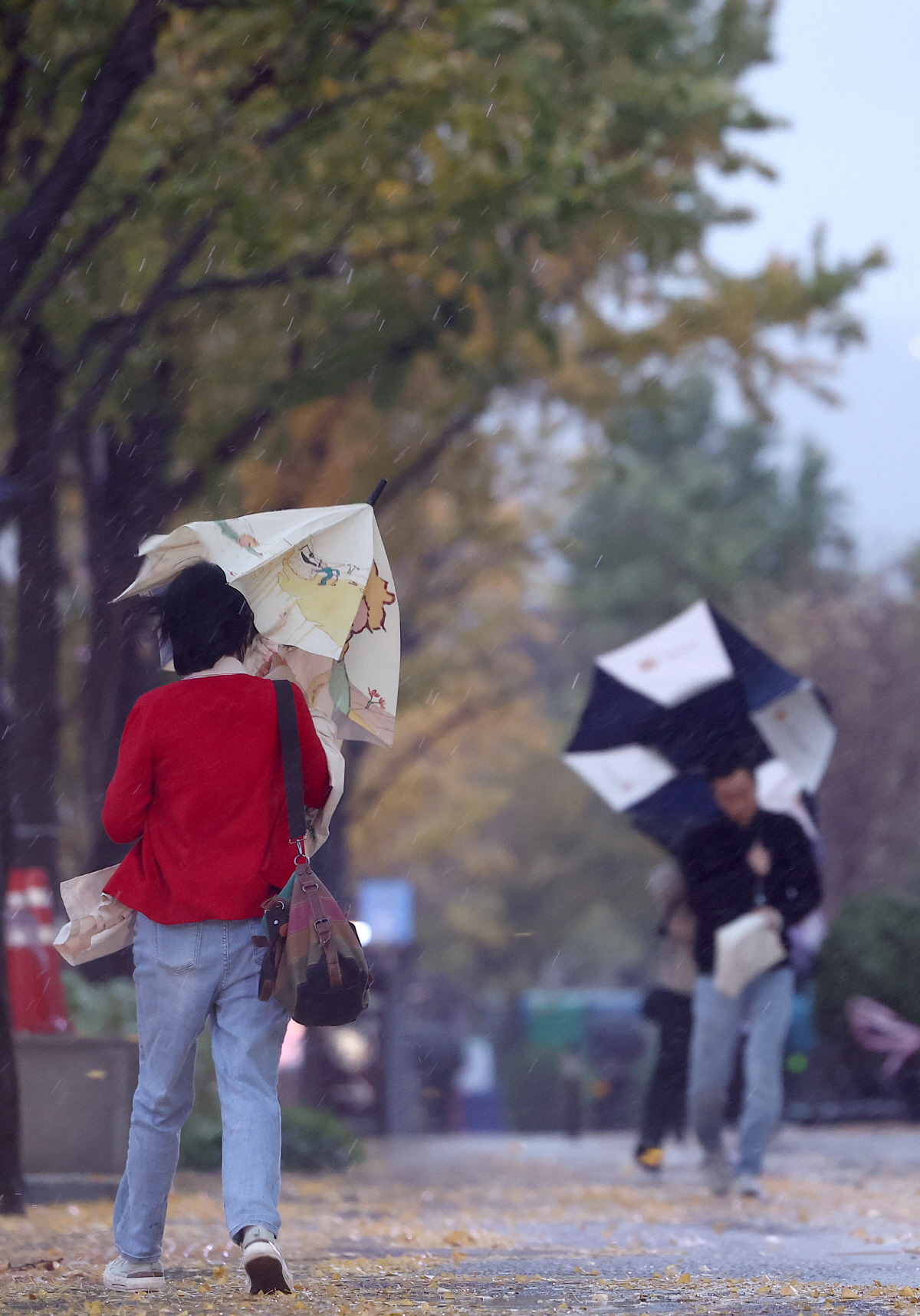 ▲6일 오전 거센 비바람이 부는 서울 시청 인근 세종대로에서 시민들이 강풍을 맞으며 걸어가고 있다. (연합뉴스)