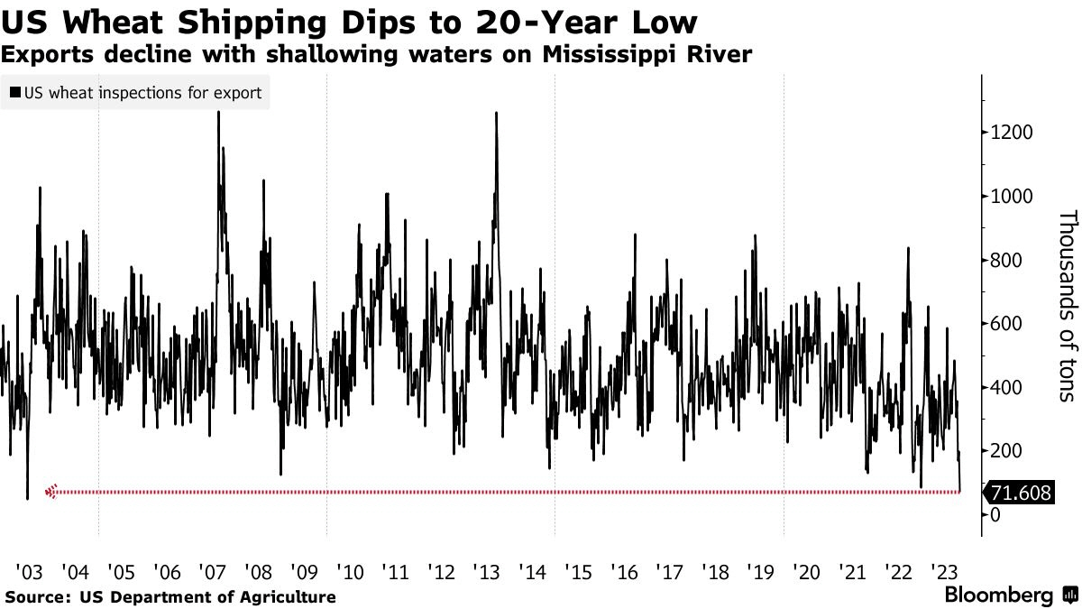 ▲미국 주간 수출용 밀 검사량 추이. 2일 기준 7만1608톤. 출처 블룸버그