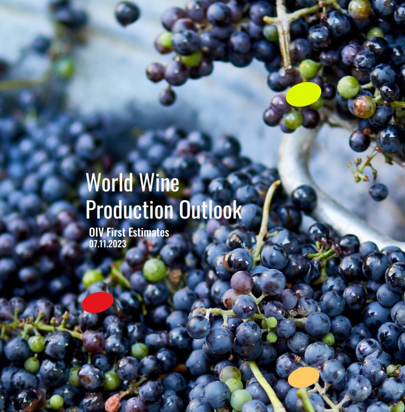 ▲출처 국제와인기구(OIV) 2023 세계 와인 생산량 전망 보고서 첫 페이지 화면 챕처 
