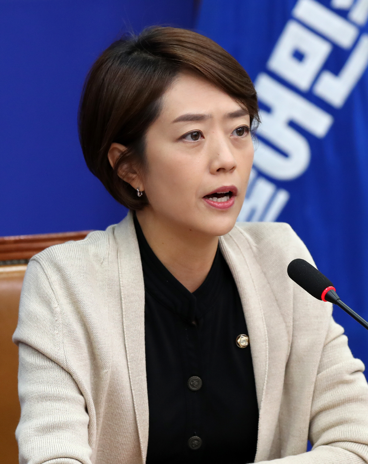 ▲고민정 더불어민주당 최고위원 (뉴시스)
