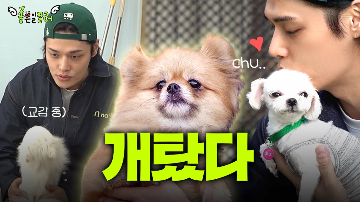 ▲NH투자증권 유튜브 콘텐츠 '좋은일잘러' 썸네일. (사진= NH투자증권)