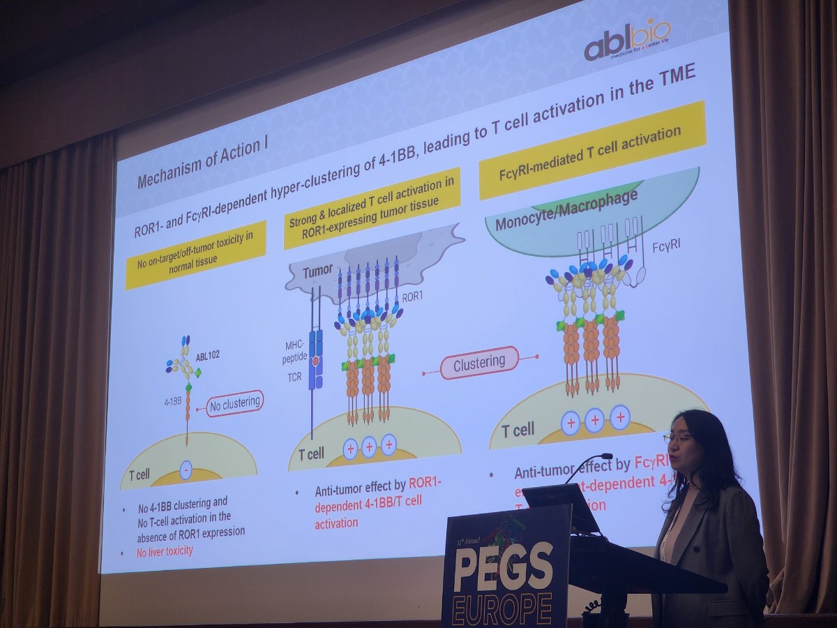▲에이비엘바이오는 14일부터 16일까지(현지시간) 포르투칼 리스본에서 열린 '제15회 유럽 단백질 및 항체 엔지니어링 서밋'에 참가해 ABL103과 ABL102의 포스터 발표를 진행했다. (사진제공=에이비엘바이오)