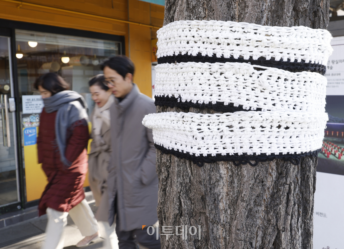 ▲전국 아침 기온이 영하권을 떨어진 28일 서울 종로구 경복궁역 일대 가로수에 서촌 얀 바밍(Seochon Yarn bombing) 니팅 아트가 설치되어 있다. Yarn bombing은 길거리 예술의 한 종류로 가로수에 니팅 아트를 입히는 아트다. 경복궁역 3번출구에서 자하문 터널 방향으로 설치되어 있는 서촌 얀 바밍(Seochon Yarn bombing)은 12월 말까지 진행된다.  (조현호 기자 hyunho@)