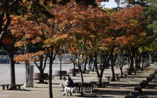 ▲전국이 맑은 날씨를 보인 22일 서울 영등포구 여의도공원이 단풍으로 물들어 가고 있다. (조현호 기자 hyunho@)