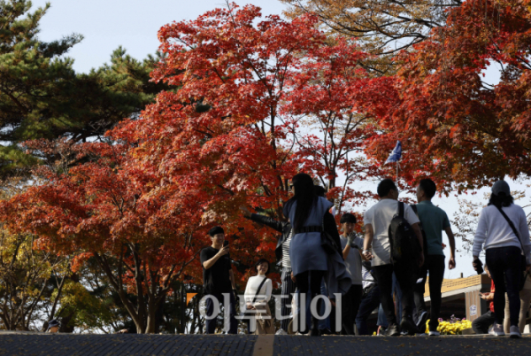 ▲완연한 가을 날씨를 보인 2일 서울 남산을 찾은 시민들이 울긋불긋 단풍을 즐기고 있다. 조현호 기자 hyunho@