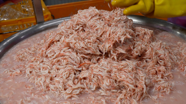 ▲'극한직업'(사진제공=EBS1)