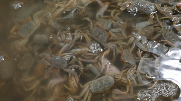 ▲'극한직업'(사진제공=EBS1)