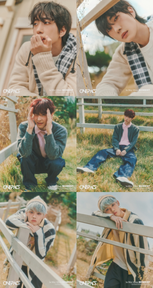 ▲원팩트(사진=아르마다이엔티 제공)