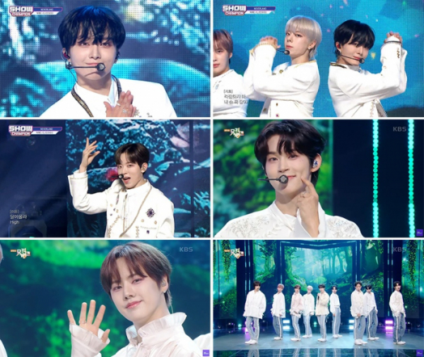 ▲나인아이(사진제공=각 방송사)