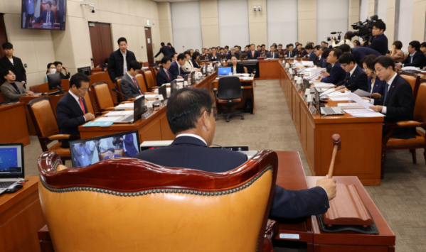 ▲1일 국회 행정안전위원회에서 전체회의를 하고 있다. (연합뉴스)