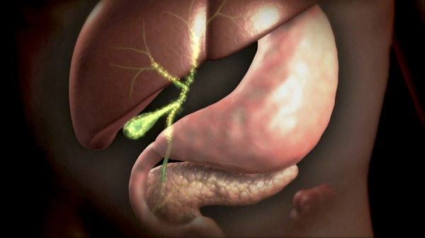 ▲'명의' (사진제공=EBS1)