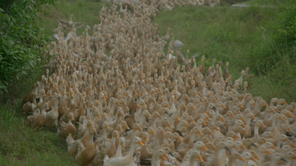 ▲'극한직업'(사진제공=EBS1)